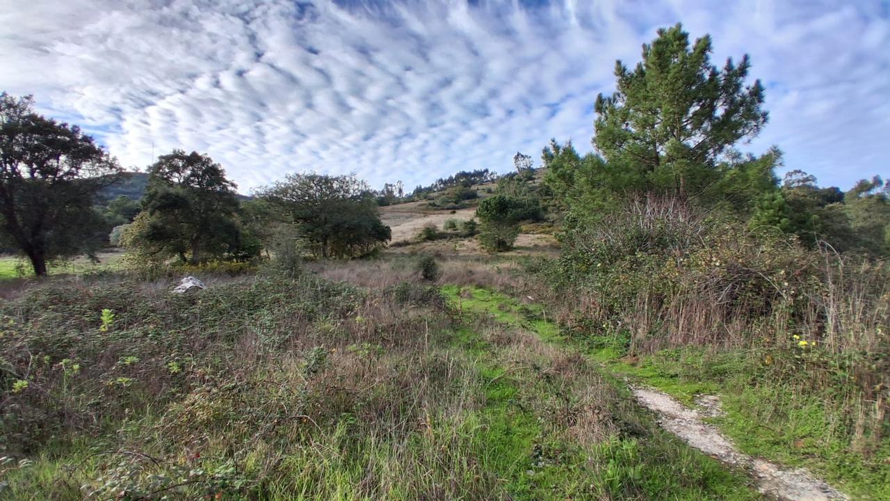 Zona Verde